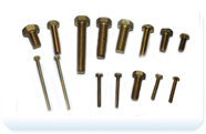 Brass Round Head Bolts