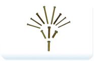 Brass Screws