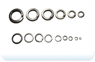 Spring Washers/ Lock Washers
