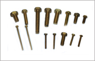 Brass Round Head Bolts