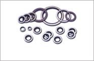 Sealing Washers